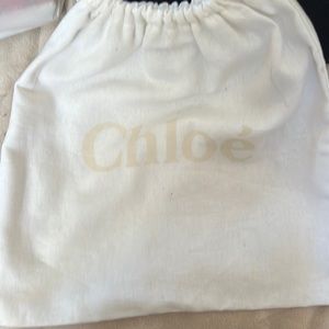 Chloe shoe bag